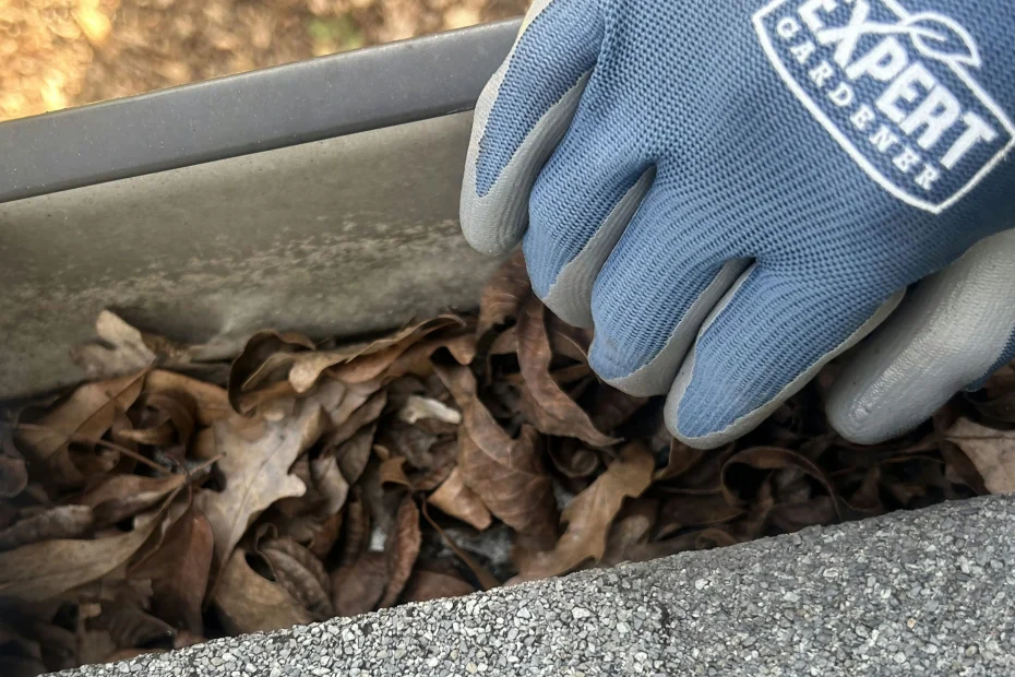 Gutter Cleaning Village of Estero FL