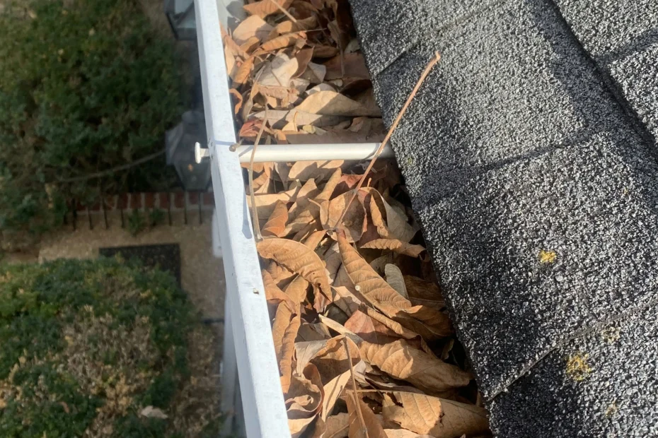 Gutter Cleaning Village of Estero FL