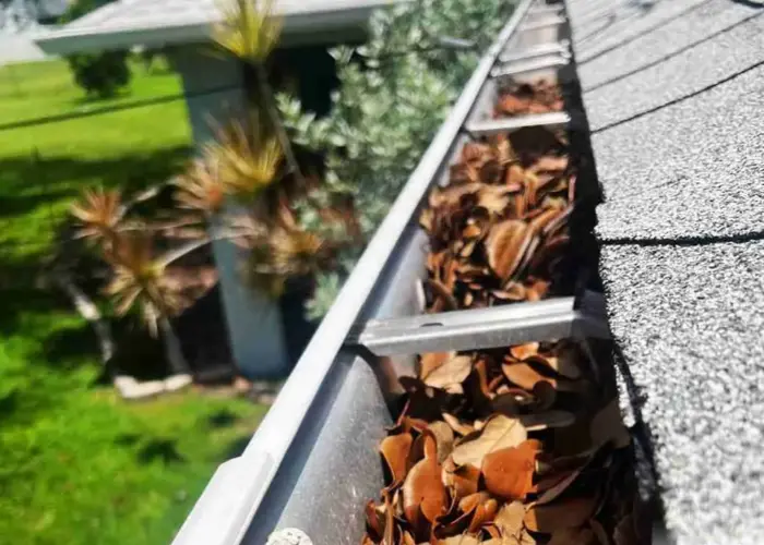 Gutter Cleaning Village of Estero FL home page